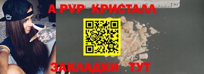 стафф Кингисепп