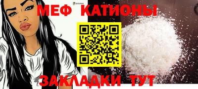 стафф Кингисепп