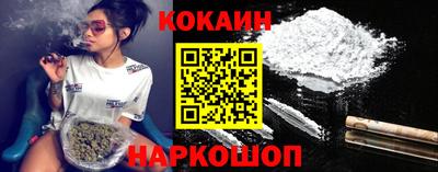 стафф Кингисепп