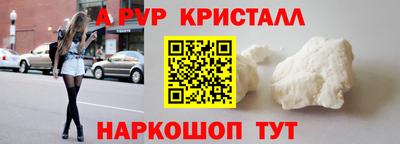 стафф Кингисепп