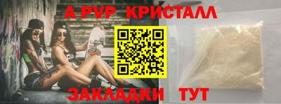стафф Кингисепп