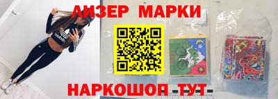 стафф Кингисепп