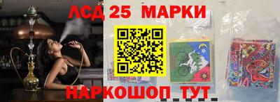 стафф Кингисепп