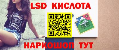 стафф Кингисепп