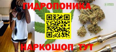 стаф Кимры