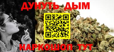 стафф Кингисепп