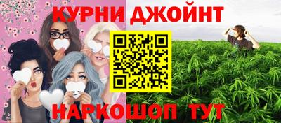 стафф Кингисепп