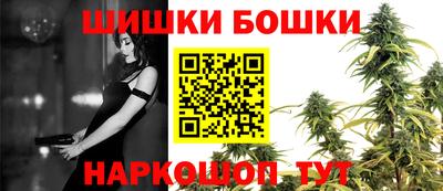 стафф Кингисепп