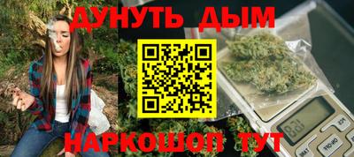 стафф Кингисепп