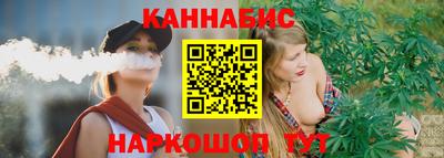 стафф Кингисепп